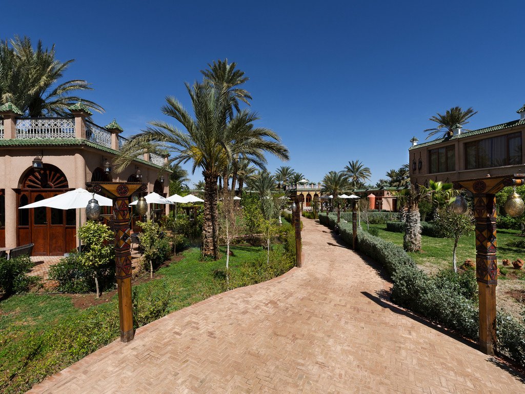 Palm-lined garden path